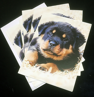 pcards